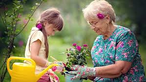 TIPY PRE SENIOROV AKO ZVLÁDAŤ LETNÉ HORÚČAVY